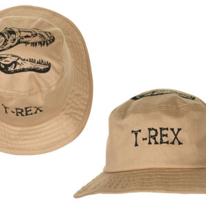 Dinosaur Bucket hat with front and top view