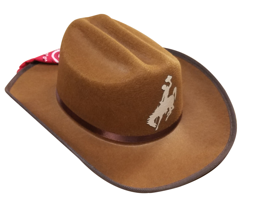 CBBR-CB Brown Cowboy Hat with Rodeo Logo